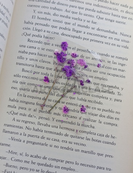 Marcapáginas Flores Secas
