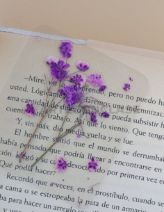 Marcapáginas Flores Secas