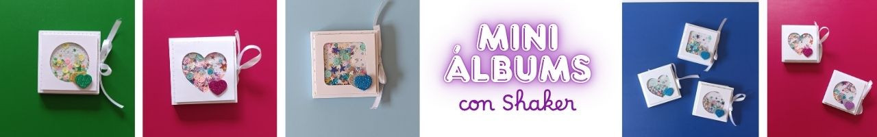 Mini Álbumes Con Shaker